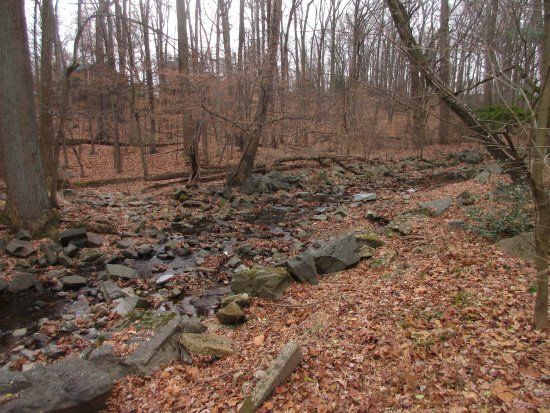 Long Branch Nature Center